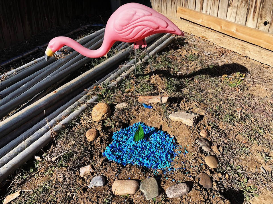 Garden with burial site of family pet. Decorated with small stones, artifacts from the garden, and a pink flamingo.