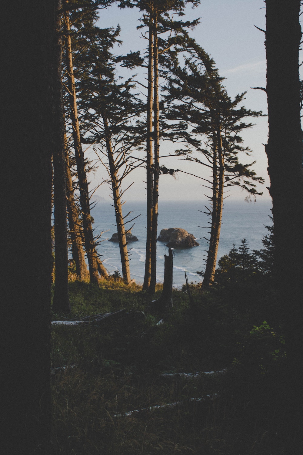 Trees in the foreground with ocean water in the distance. Two rocks are visible above the water.