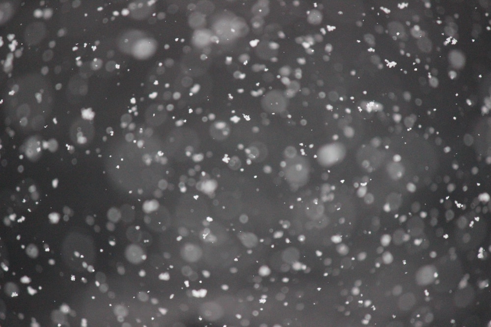 Black and white picture of snow falling against a dark background.