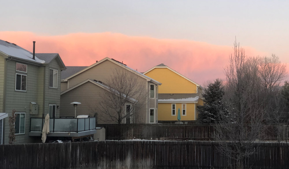 Pink and orange clouds on the western horizon over homes, trees, and backyards.